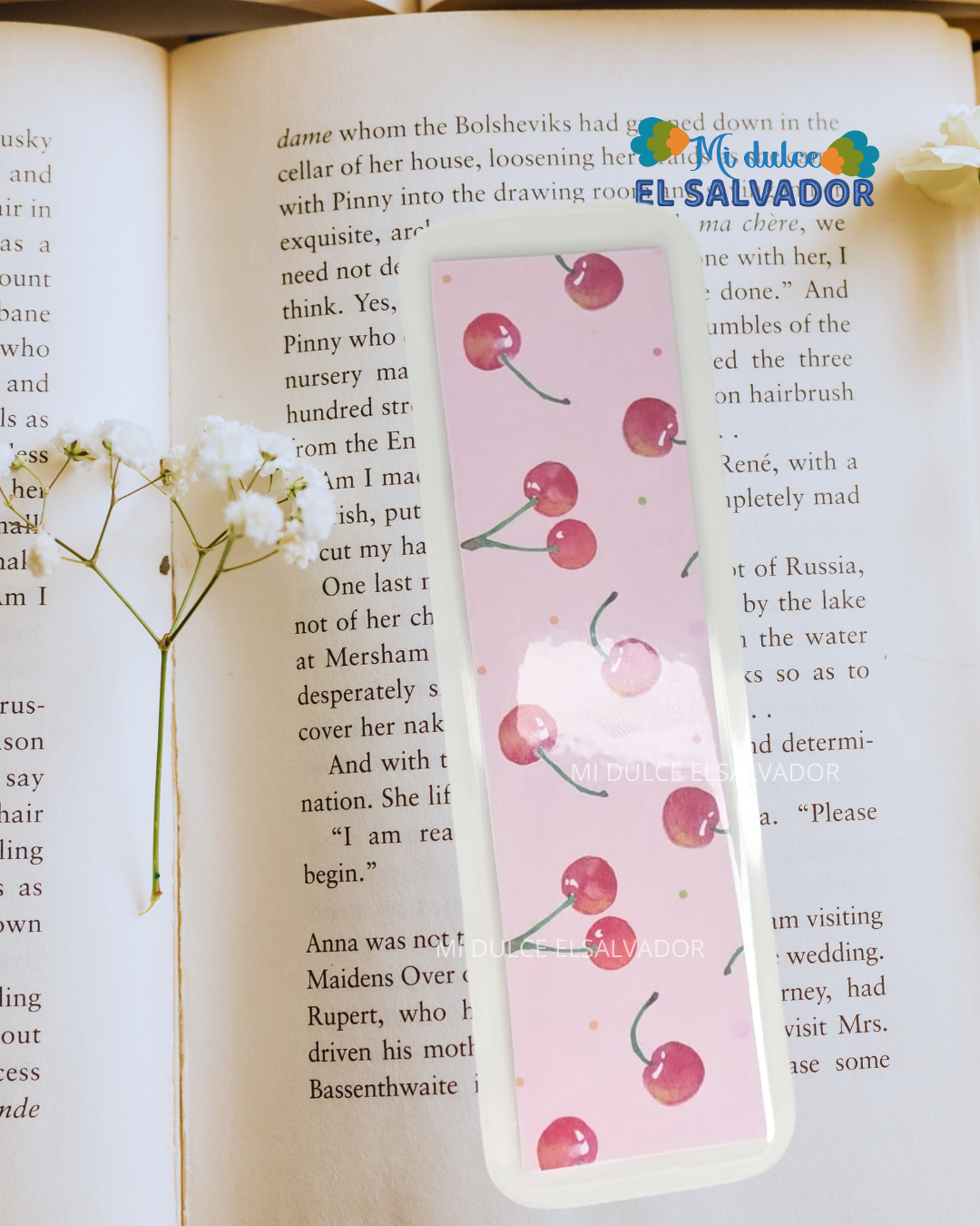 Bookmark frutales / 3 x $21