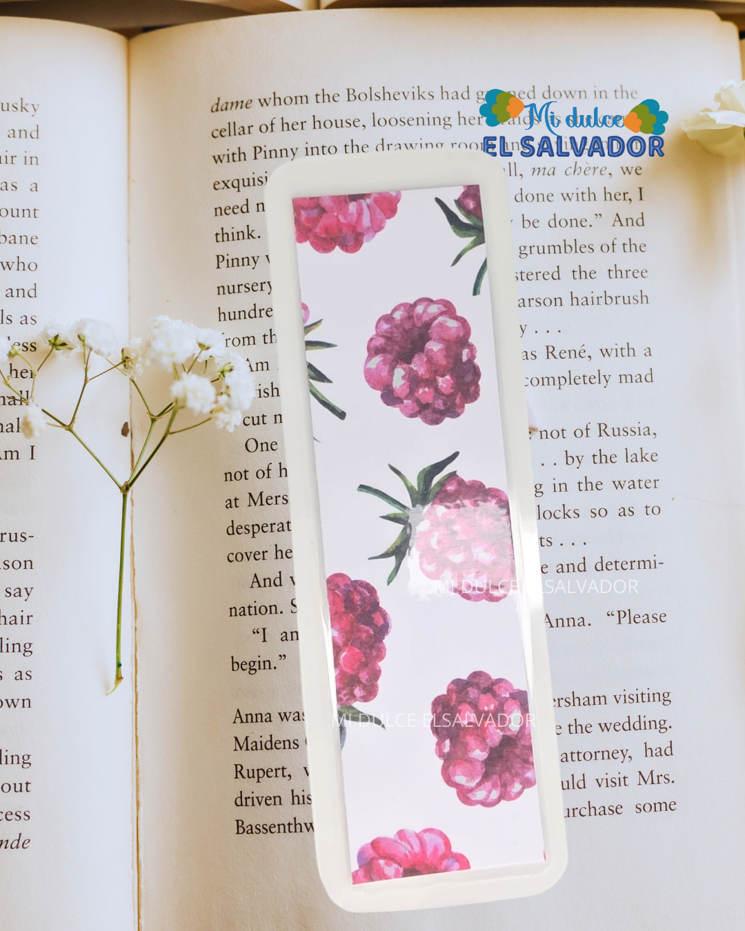 Bookmark frutales / 3 x $21