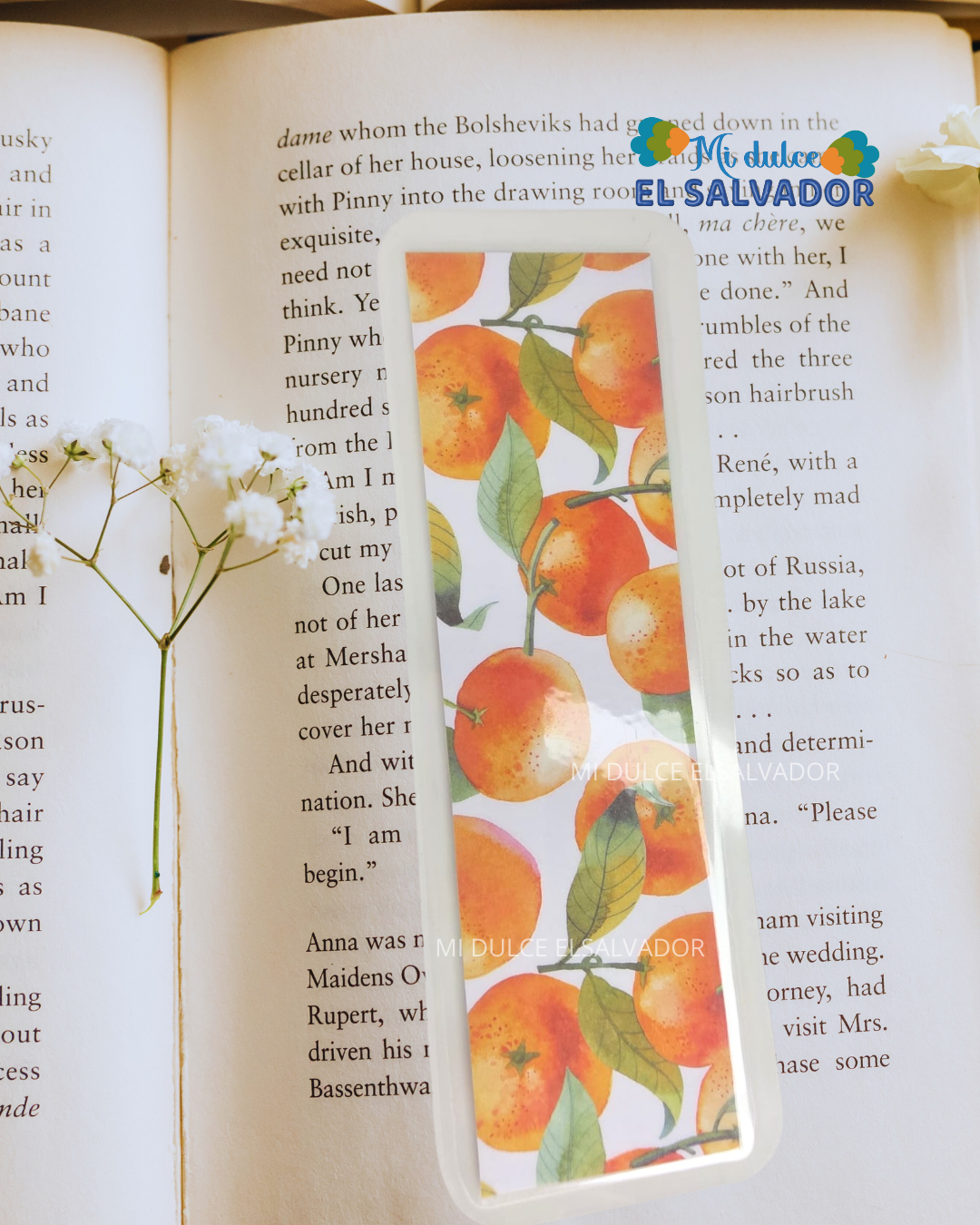 Bookmark frutales / 3 x $21
