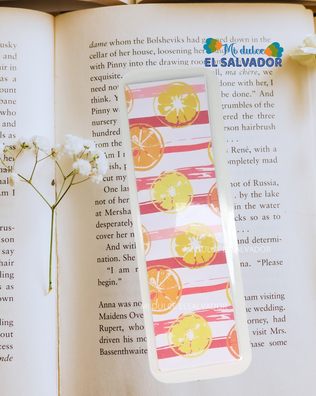 Bookmark frutales / 3 x $21