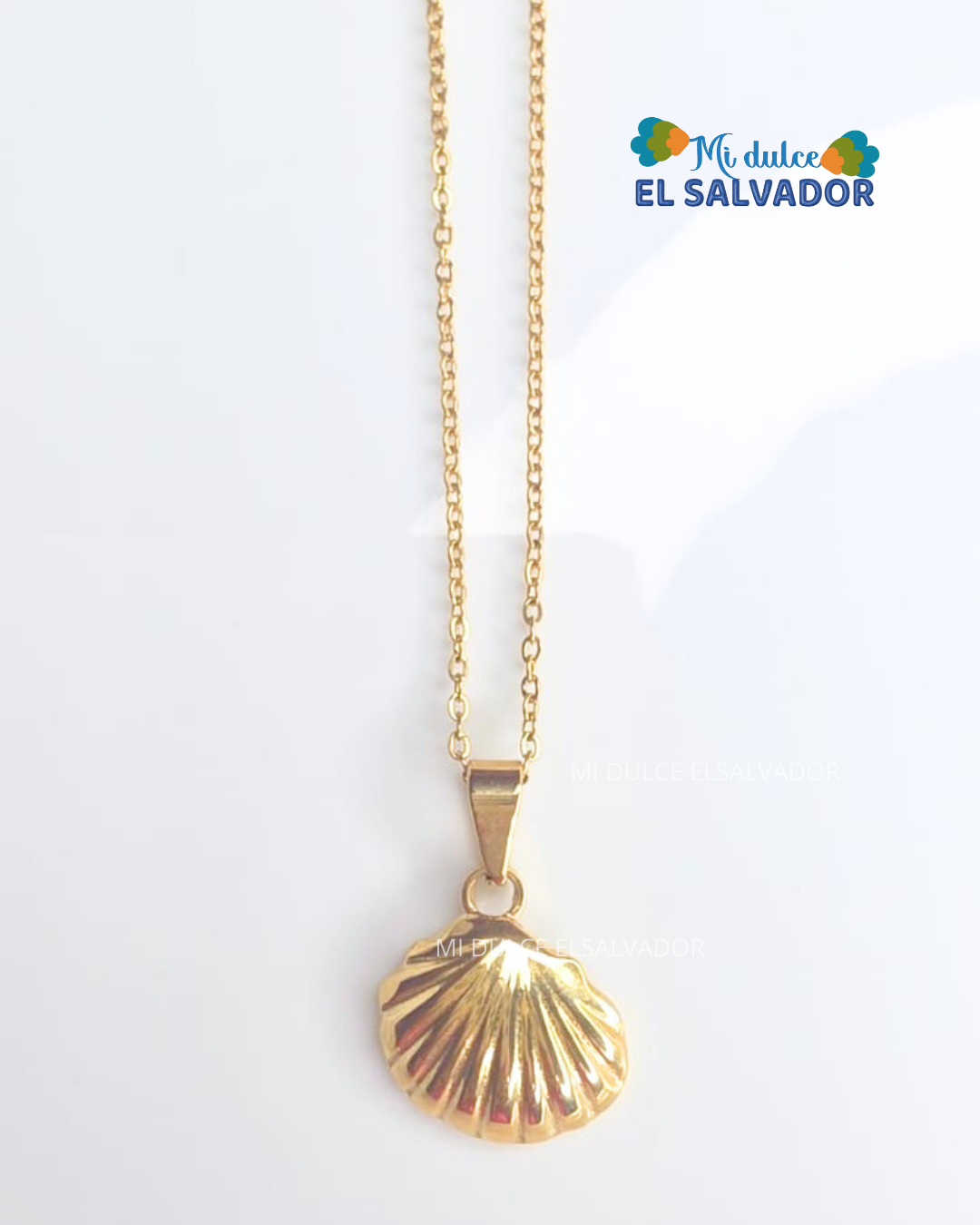 Cadena con dije concha